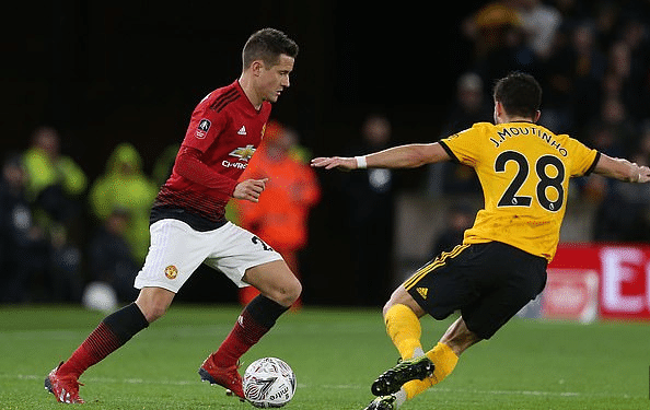 健康的球迷 健康的球迷