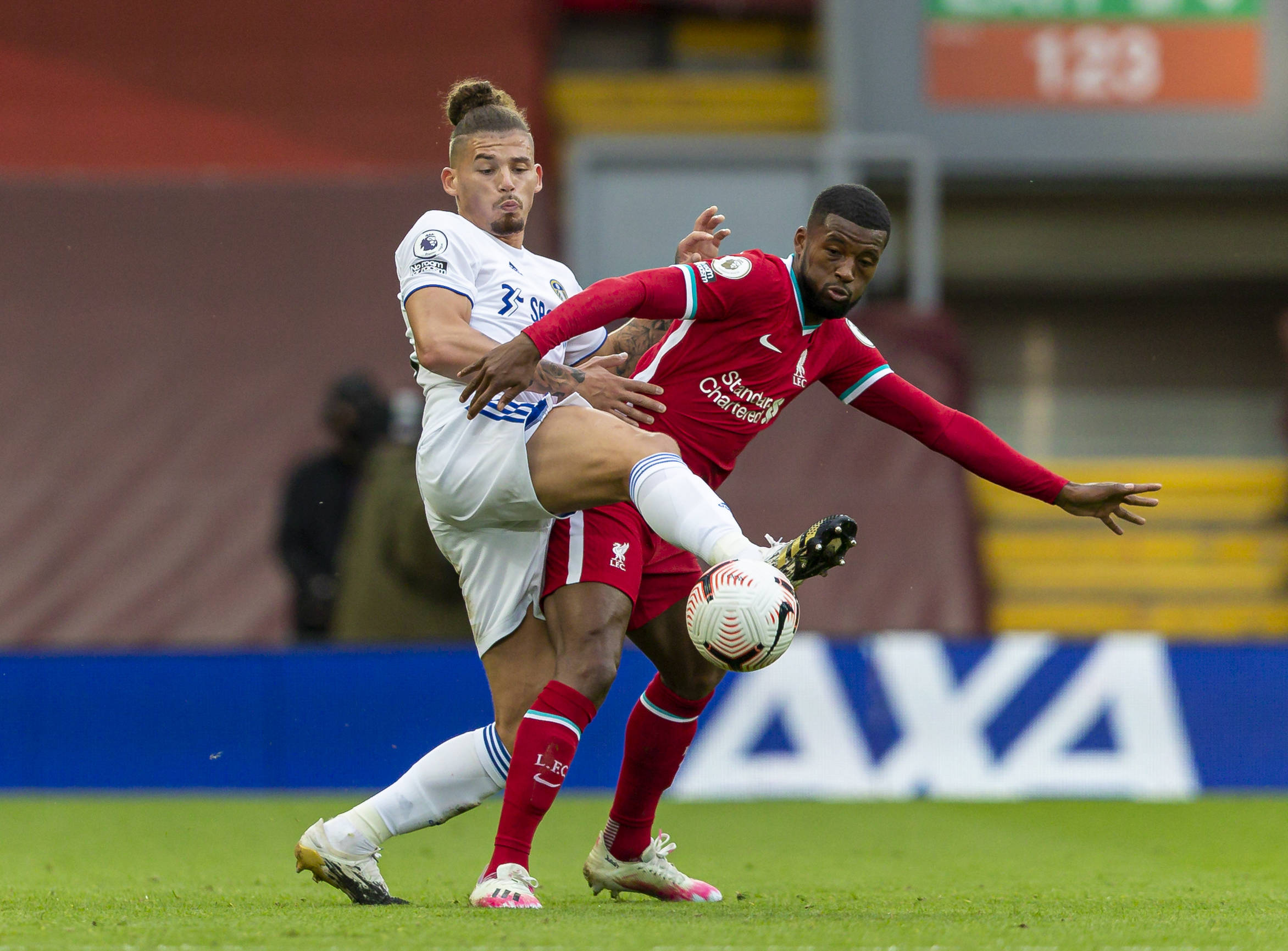 的适应能力 的适应能力