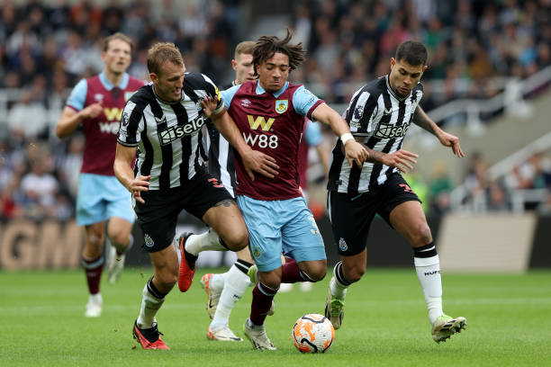 可以帮助我 可以帮助我