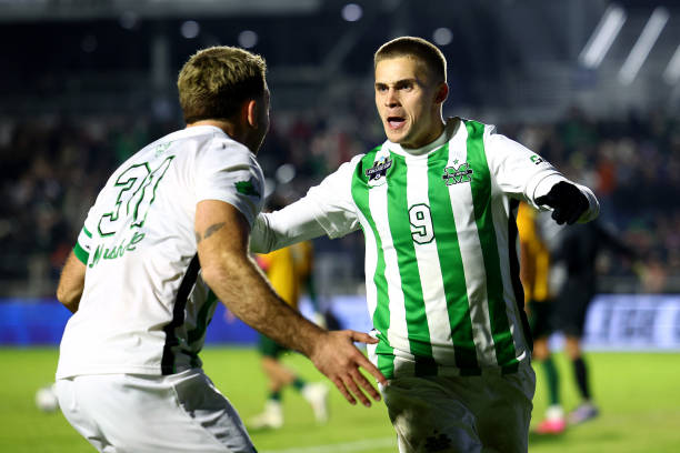 都展现出极 都展现出极